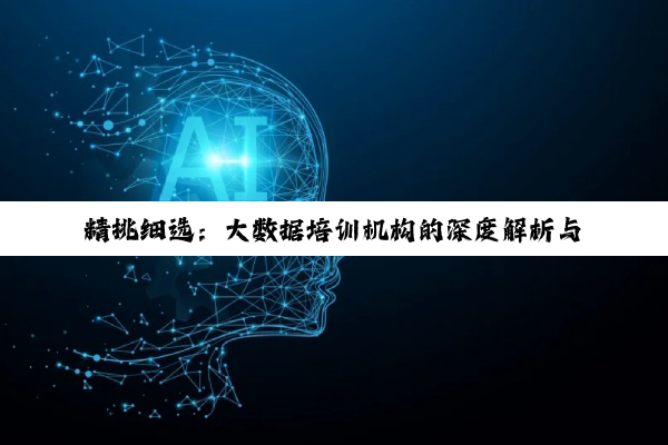 【科普解答】精挑细选：大数据培训机构的深度解析与明智之选